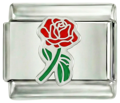 Rose rouge entière avec sa tige verte