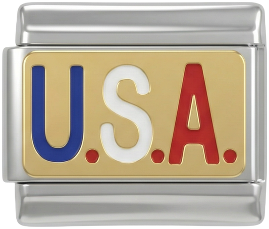 U.S.A, Gold Plate, on Silver - U.S.A-Gold-Plate-on-Silver.png
