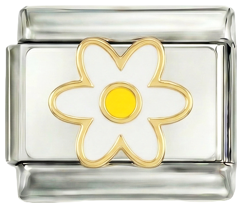 White Daisy and Her Yellow Heart