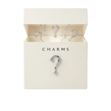 Mystery Box (20 Charms)