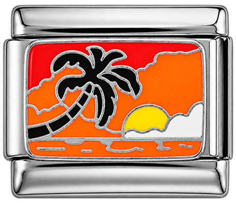 Coucher de soleil avec palmier en argent
