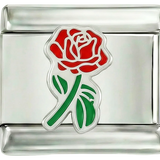 Rose rouge entière avec sa tige verte